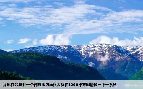 我想在合肥开一个商务酒店面积大概在3200平方想请教一下一系列