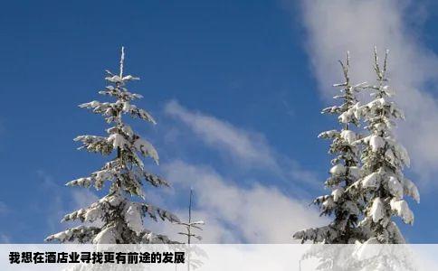 我想在酒店业寻找更有前途的发展