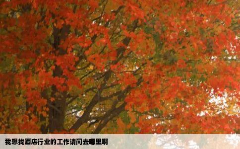 我想找酒店行业的工作请问去哪里啊