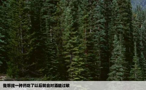 我想找一种药吃了以后就会对酒精过敏