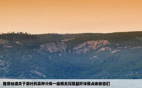 我想知道关于茶叶的品种分类一些相关问题最好详细点谢谢你们