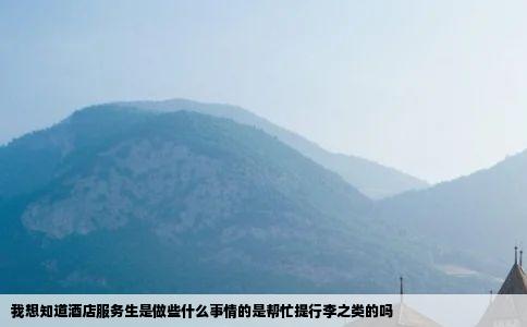 我想知道酒店服务生是做些什么事情的是帮忙提行李之类的吗