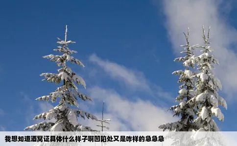 我想知道酒窝证具体什么样子啊凹陷处又是咋样的急急急