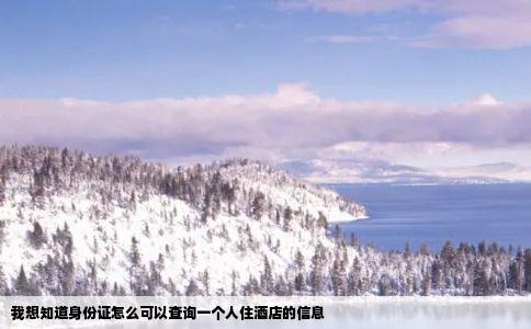 我想知道身份证怎么可以查询一个人住酒店的信息