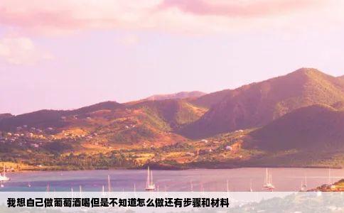 我想自己做葡萄酒喝但是不知道怎么做还有步骤和材料