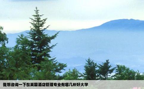 我想咨询一下在英国酒店管理专业有哪几所好大学