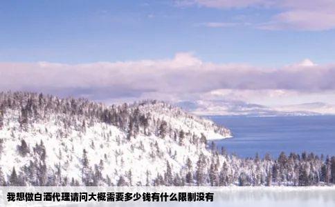 我想做白酒代理请问大概需要多少钱有什么限制没有