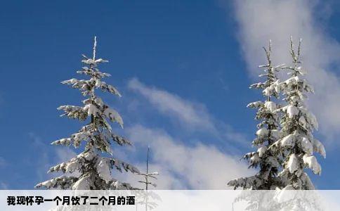 我现怀孕一个月饮了二个月的酒