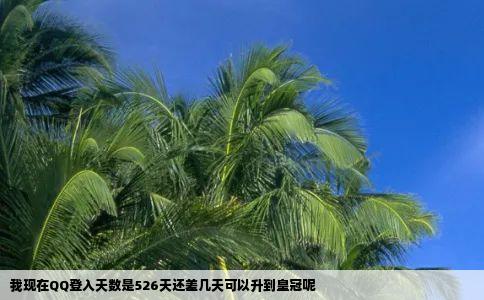 我现在QQ登入天数是526天还差几天可以升到皇冠呢