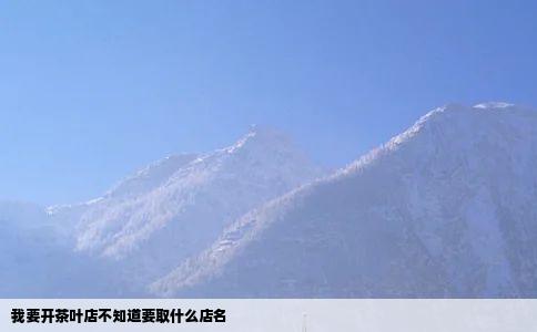我要开茶叶店不知道要取什么店名