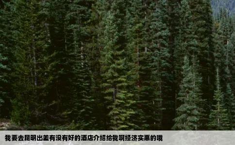 我要去昆明出差有没有好的酒店介绍给我啊经济实惠的哦