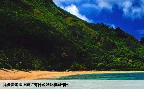 我要是喝酒上瘾了有什么好处和副作用