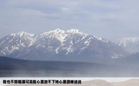 我也不想喝酒可是我心里放不下她心里很痛说说