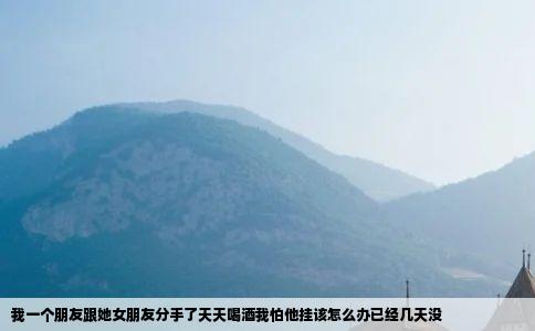 我一个朋友跟她女朋友分手了天天喝酒我怕他挂该怎么办已经几天没