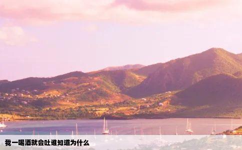 我一喝酒就会吐谁知道为什么