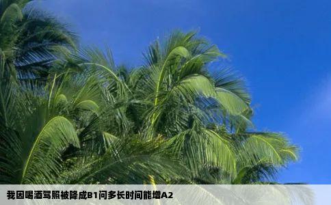 我因喝酒驾照被降成B1问多长时间能增A2