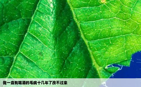 我一直有喝酒的毛病十几年了改不过来