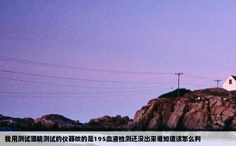 我用测试酒精测试的仪器吹的是195血液检测还没出来谁知道该怎么判