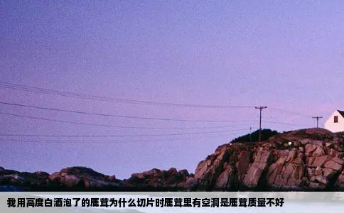 我用高度白酒泡了的鹿茸为什么切片时鹿茸里有空洞是鹿茸质量不好