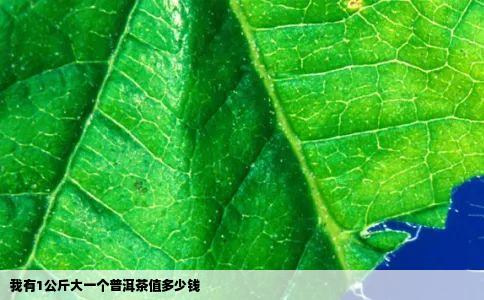我有1公斤大一个普洱茶值多少钱