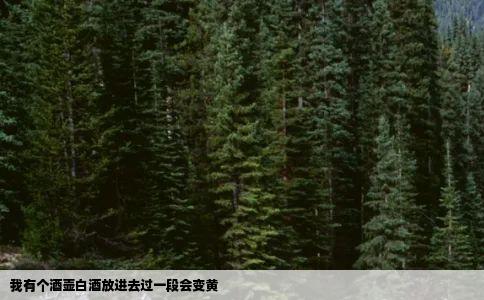 我有个酒壶白酒放进去过一段会变黄