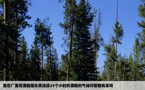 我在厂里用酒精擦东西连续23个小时的酒精的气味对眼睛有害吗