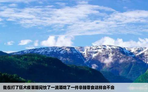 我在打了狂犬疫苗期间饮了一滴酒吃了一件辛辣零食这样会不会