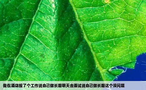 我在酒店报了个工作说自己做长期明天去面试说自己做长期这个没问题