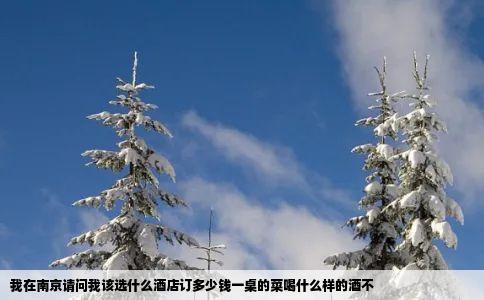 我在南京请问我该选什么酒店订多少钱一桌的菜喝什么样的酒不
