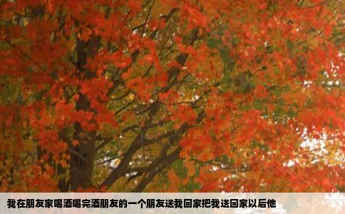 我在朋友家喝酒喝完酒朋友的一个朋友送我回家把我送回家以后他