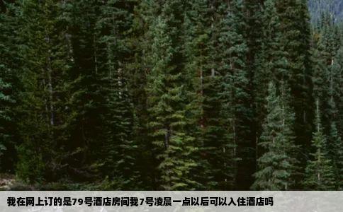 我在网上订的是79号酒店房间我7号凌晨一点以后可以入住酒店吗