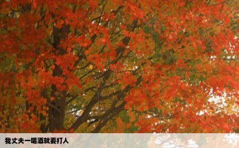 我丈夫一喝酒就要打人