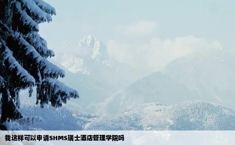我这样可以申请SHMS瑞士酒店管理学院吗
