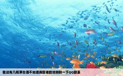 我这有几瓶茅台酒不知道真假谁能给辨别一下QQ联系