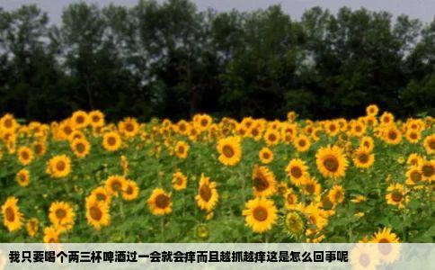 我只要喝个两三杯啤酒过一会就会痒而且越抓越痒这是怎么回事呢