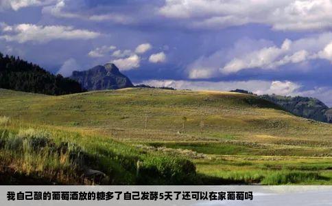 我自己酿的葡萄酒放的糖多了自己发酵5天了还可以在家葡萄吗