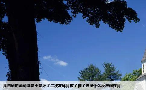 我自酿的葡萄酒是不是坏了二次发酵我放了糖了也没什么反应现在我