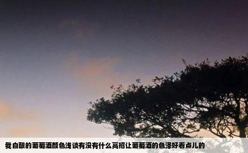 我自酿的葡萄酒颜色浅谈有没有什么高招让葡萄酒的色泽好看点儿的