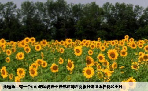 我嘴角上有一个小小的酒窝是不是就意味着我很会喝酒呢但我又不会