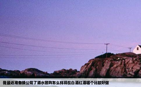 我最近准备换公司了酒水团购怎么样现在白酒红酒哪个比较好做