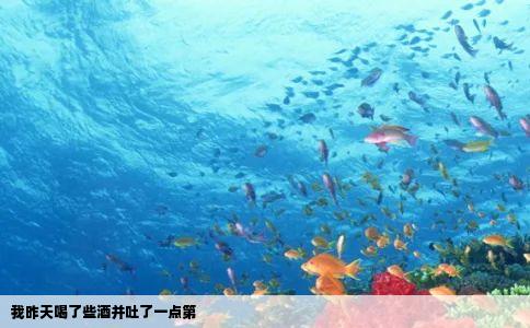 我昨天喝了些酒并吐了一点第