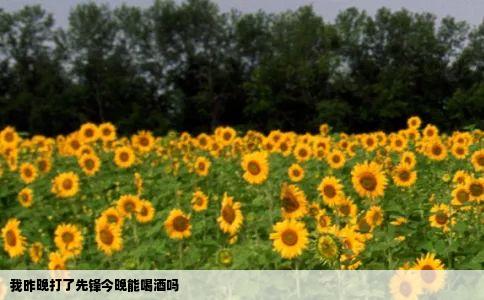 我昨晚打了先锋今晚能喝酒吗