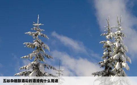 五谷杂粮酿酒后的酒渣有什么用途