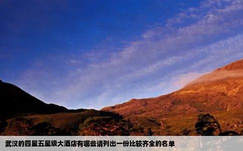 武汉的四星五星级大酒店有哪些请列出一份比较齐全的名单