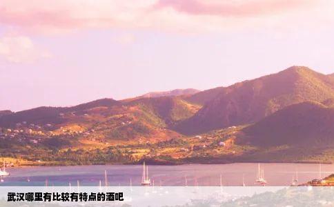 武汉哪里有比较有特点的酒吧