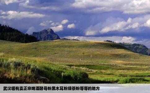 武汉哪有卖正宗啤酒酵母粉黑木耳粉绿茶粉等等的地方