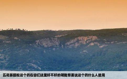 五花茶颗粒这个药在你们这里好不好的呢我想要说这个药什么人能用