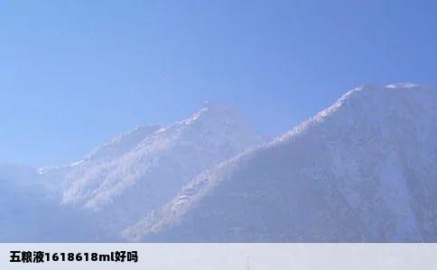 五粮液1618618ml好吗