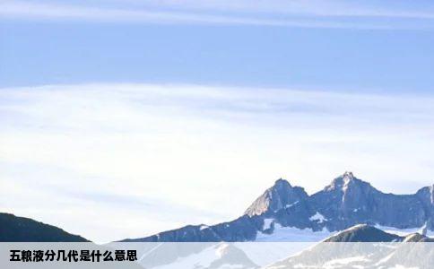 五粮液分几代是什么意思