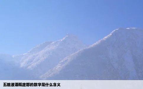 五粮液酒瓶底部的数字是什么含义